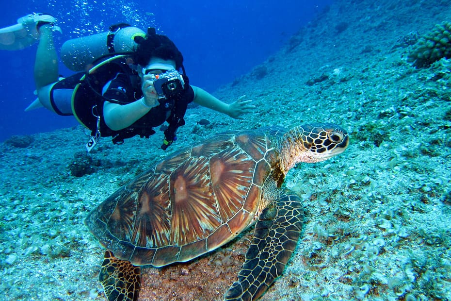 Best beaches in Egypt