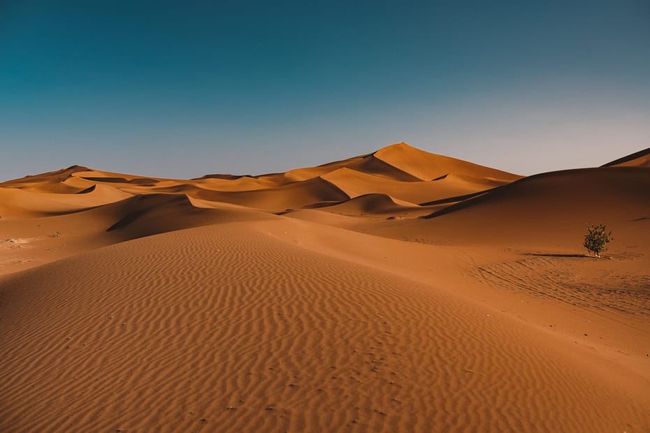 Desert adventures in Egypt